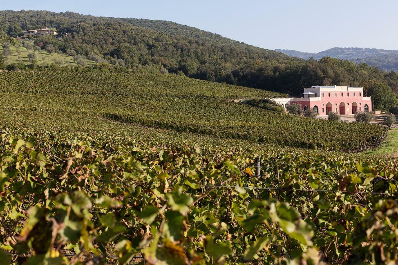 Tenuta Il Sassone - Wine&Food Масса-Мариттима Экстерьер фото