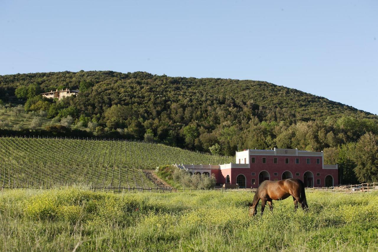 Tenuta Il Sassone - Wine&Food Масса-Мариттима Экстерьер фото